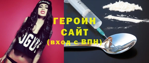 гашик Алексин