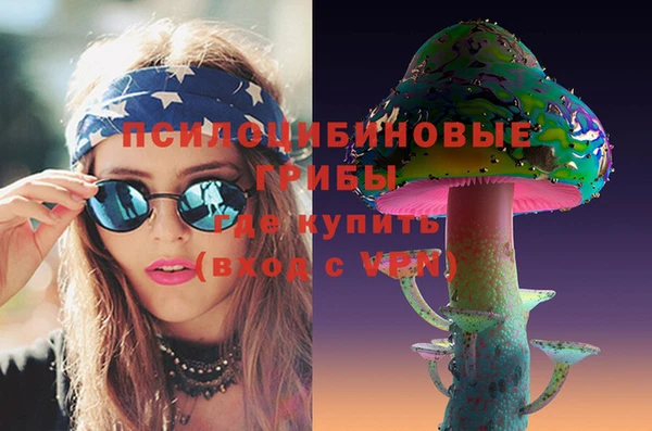 гашик Алексин
