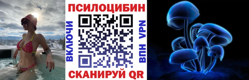 Псилоцибиновые грибы мухоморы  дарк нет какой сайт  Талица  где продают  